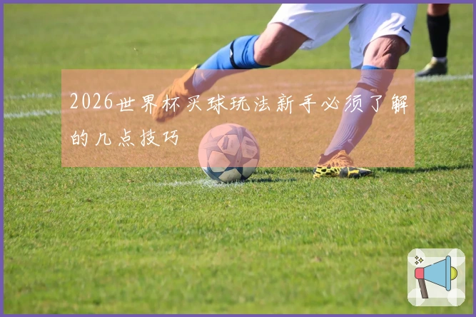 2026世界杯买球玩法新手必须了解的几点技巧