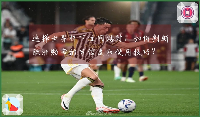 选择世界杯下注网站时，如何判断欧洲赔率的可信度和使用技巧？