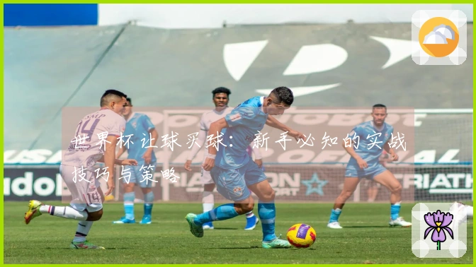 世界杯让球买球：新手必知的实战技巧与策略