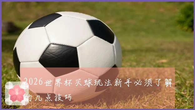 2026世界杯买球玩法新手必须了解的几点技巧