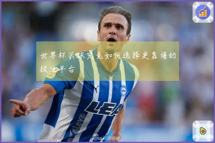 世界杯买球究竟如何选择更靠谱的投注平台