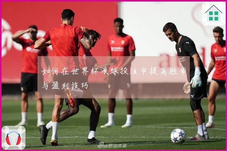 如何在世界杯滚球投注中提高胜率与盈利技巧