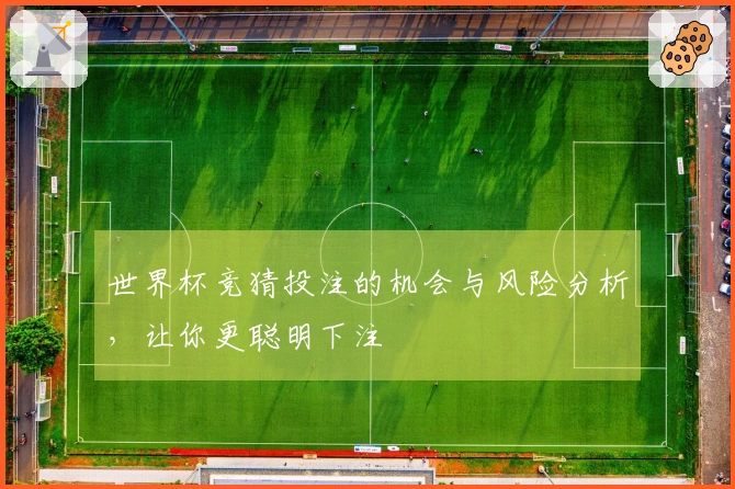 世界杯竞猜投注的机会与风险分析，让你更聪明下注