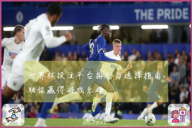 世界杯投注平台排行与选择指南，助你赢得游戏乐趣