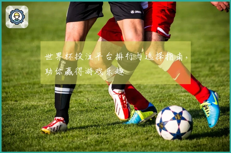 世界杯投注平台排行与选择指南，助你赢得游戏乐趣