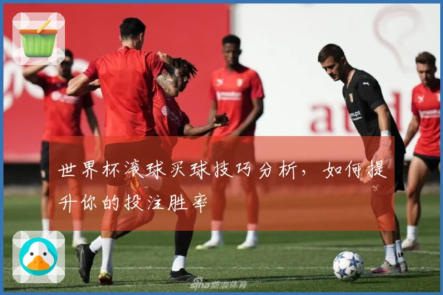 世界杯滚球买球技巧分析，如何提升你的投注胜率