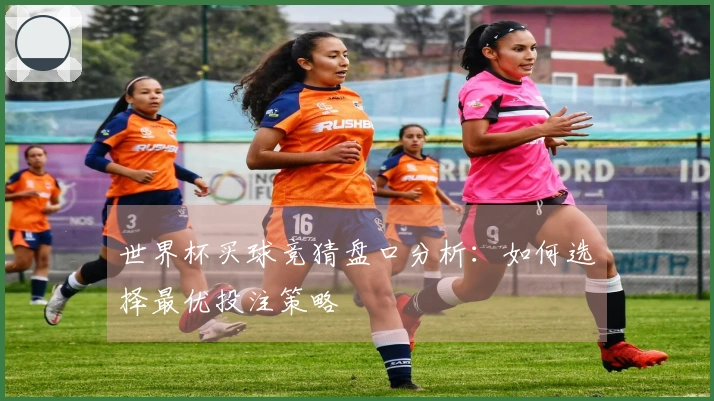 世界杯买球竞猜盘口分析：如何选择最优投注策略