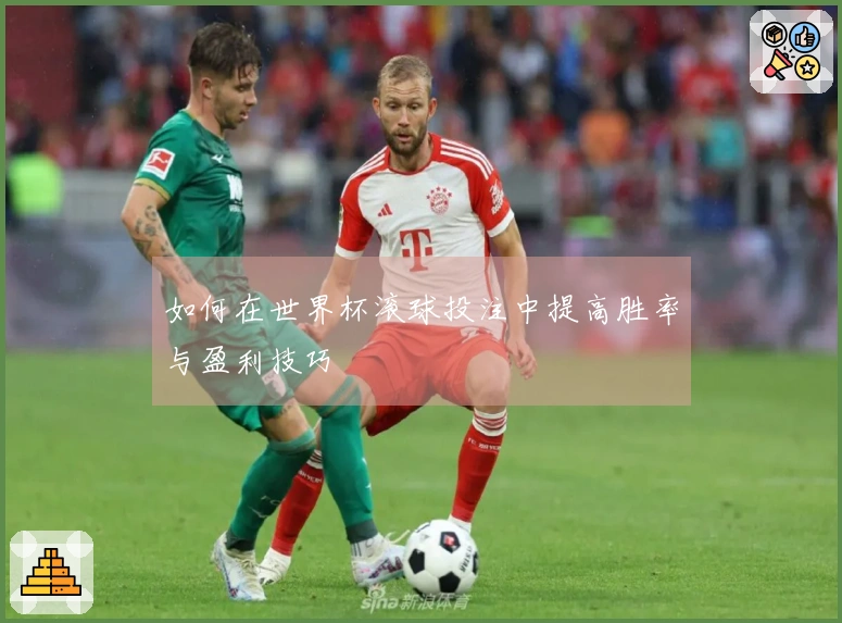 如何在世界杯滚球投注中提高胜率与盈利技巧