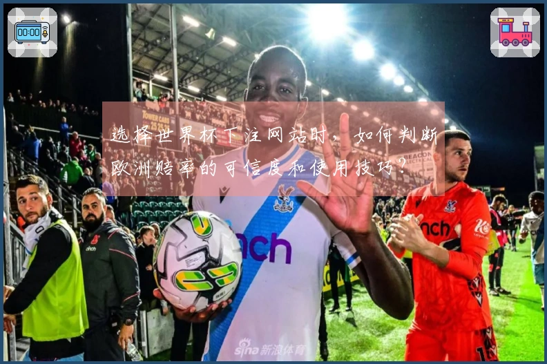 选择世界杯下注网站时，如何判断欧洲赔率的可信度和使用技巧？