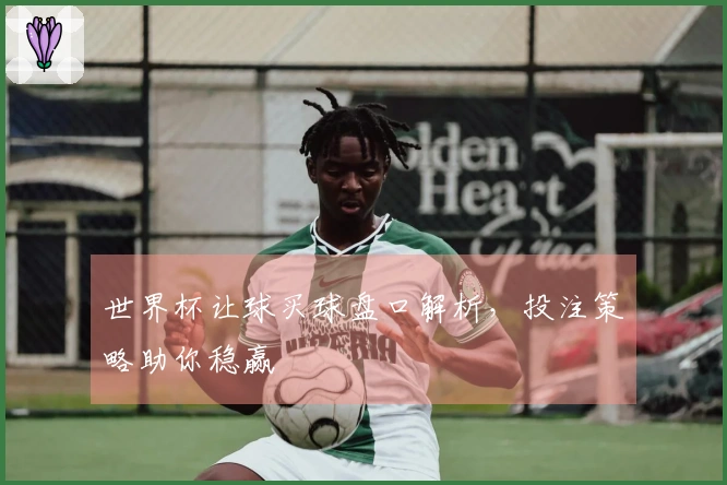 世界杯让球买球盘口解析，投注策略助你稳赢