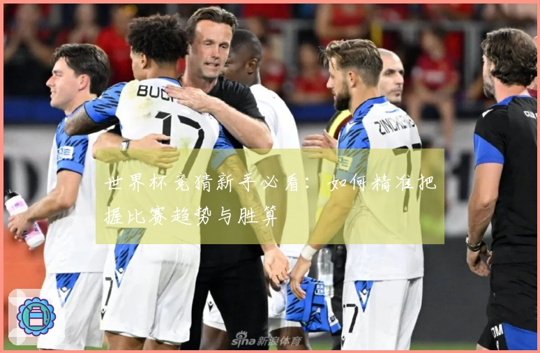世界杯竞猜新手必看：如何精准把握比赛趋势与胜算